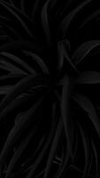 Vertical video - dark jungle leaves or foliage swaying in the breeze. Looping, full HD minimalist textured motion background animation.