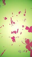 Vertical video - Saint Patrick's Day background - falling pink shamrocks.