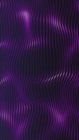 Vertical video - gently flowing shiny purple wavy lines. Full HD and looping abstract wave pattern background animation.