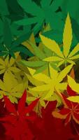 Vertical video - trippy psychedelic cannabis leaf background animation in the Rastafarian flag colors of green, yellow and red. Full HD and looping marijuana style motion background.