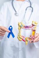 Doctor holding Blue ribbon with human Colon anatomy model. March Colorectal Cancer Awareness month, Colonic disease, Large Intestine, Ulcerative colitis, Digestive system and Health concept photo