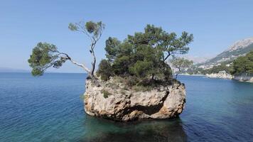 The symbol of Brela, The Brela Stone. This rock in the sea, overgrown with pines, shows the strength and power of survival and growth from the stone itself. Natural beauty. video