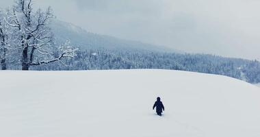 perdu et épuisé la personne randonnée dans hiver sur aventure expédition périple video