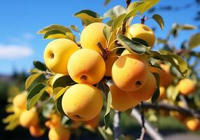 AI generated Ripe and juicy yellow apples hanging on tree with blue sky. Healthy food. photo