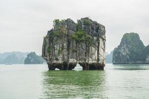 An iconic karst called 'Money island' because this karst is the picture symbol show on Vietnamese 200,000 dong banknotes. Halong Bay, Unesco world heritage site of Vietnam. photo