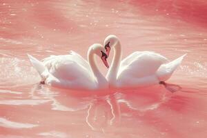 ai generado hermosa blanco cisnes en corazón forma en agua en rosado antecedentes. generativo ai foto