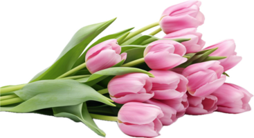 AI generated bouquet of pink tulips png