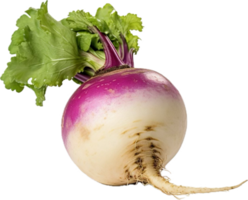 AI generated Turnip food png