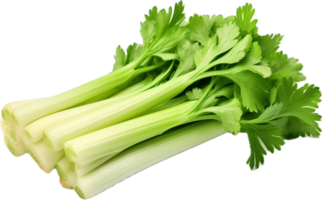 AI generated celery sticks png