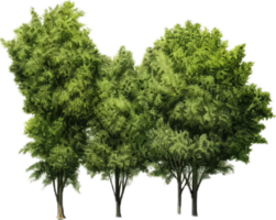 ai generado arboles natural png