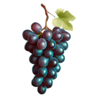 AI generated Grape fruits isolated on transparent background png