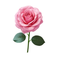 ai gerado rosa flor isolado em transparente fundo png