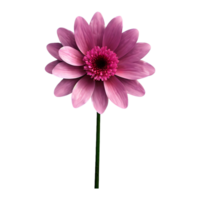 AI generated 3d pink flower isolated on transparent background png