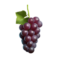 ai generado zinfandel uva Fruta aislado en transparente antecedentes png