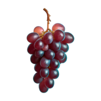 ai généré zinfandel grain de raisin fruit isolé sur transparent Contexte png