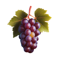 AI generated Zinfandel grape fruit isolated on transparent background png