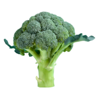 ai genererad färsk broccoli isolerat på transparent bakgrund png