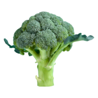 ai généré Frais brocoli isolé sur transparent Contexte png