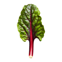 AI generated Fresh swiss chard vegetable isolated on transparent background png