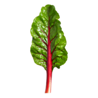 AI generated Fresh swiss chard vegetable isolated on transparent background png