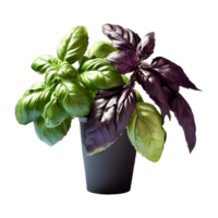 AI generated Basil isolated on transparent background png