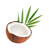 AI generated Coconut isolated on transparent background png