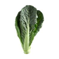 AI generated Fresh collard green isolated on transparent background png