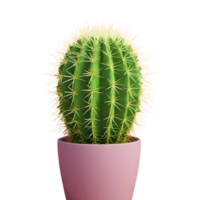 AI generated Fresh prickly isolated on transparent background png