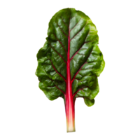 AI generated Fresh swiss chard vegetable isolated on transparent background png