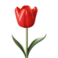 AI generated Red Flower on Transparent background - Ai Generated png