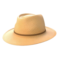 AI generated Beach Hat on Transparent background - Ai Generated png