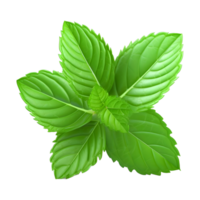 AI generated Green Leaves on Transparent background - Ai Generated png