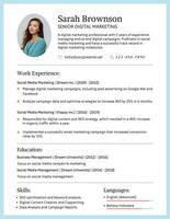 Blue Modern Business Resume template