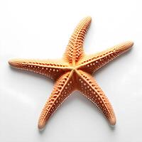 AI generated starfish isolated white background. ai generative photo