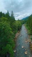 vuelo terminado un montaña río. Disparo en fpv zumbido. británico Columbia, Canadá. video