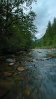 voar sobre uma montanha rio. tiro em fpv drone. britânico Colômbia, Canadá. video