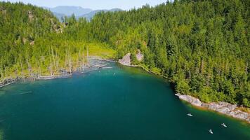 Aerial landscape of hidden lake in the forest in sunny day video