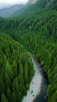 aéreo Visão do canadense montanha panorama dentro nublado dia. ocupado perto Vancouver video