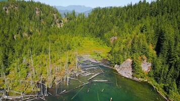 Aerial landscape of hidden lake in the forest in sunny day video