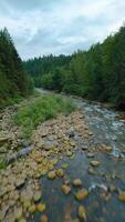 Flight over a mountain river. Shot on FPV drone. British Columbia, Canada. video