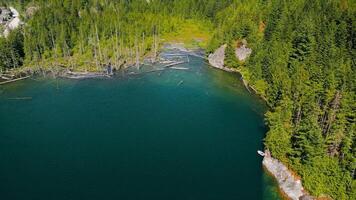 Aerial landscape of hidden lake in the forest in sunny day video