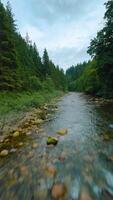 Flight over a mountain river. Shot on FPV drone. British Columbia, Canada. video