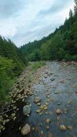 flyg över en berg flod. skott på fpv Drönare. brittiskt columbia, Kanada. video