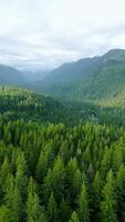 aereo Visualizza di canadese montagna paesaggio nel nuvoloso giorno. prese vicino vancouver video