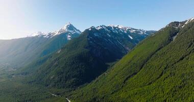 aéreo panorama Visão do chilliwack lago e montanhas dentro Primavera. video