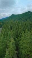 Flight over a mountain river. Shot on FPV drone. British Columbia, Canada. video