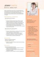 Minimalist Data Analyst ATS Resume Template with Peach Color Theme