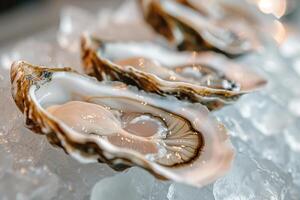 AI generated Fresh oysters on a bed of ice. photo