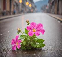 ai generado hermosa rosado flores con lluvia gotas en el asfalto camino, lluvioso día foto