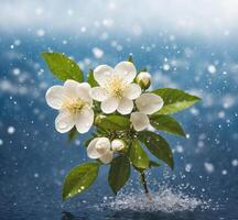 AI generated blossoming branch of mock orange flower on a blue background with water drops photo